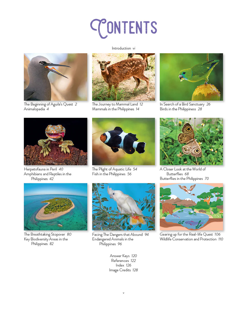 A Visual Guide to Philippine Fauna (PRE-ORDER)