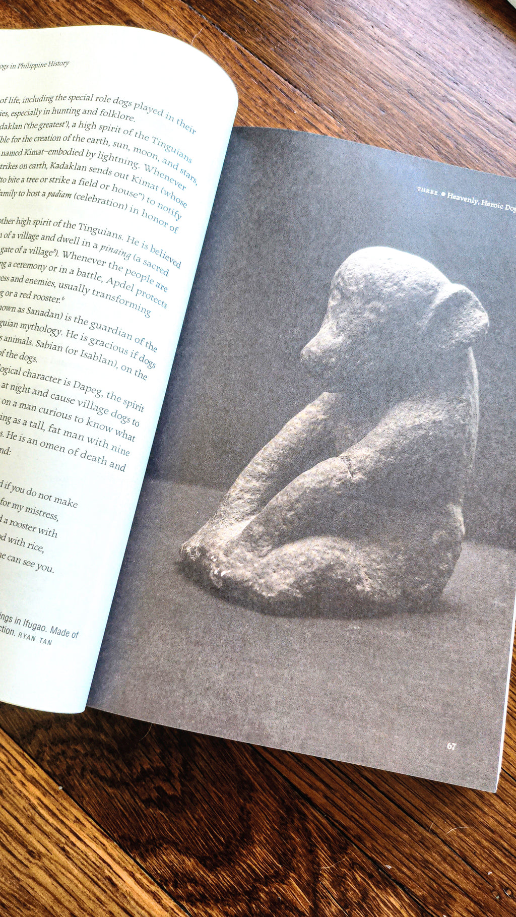 Dogs in Philippine History Book (PRE-ORDER)