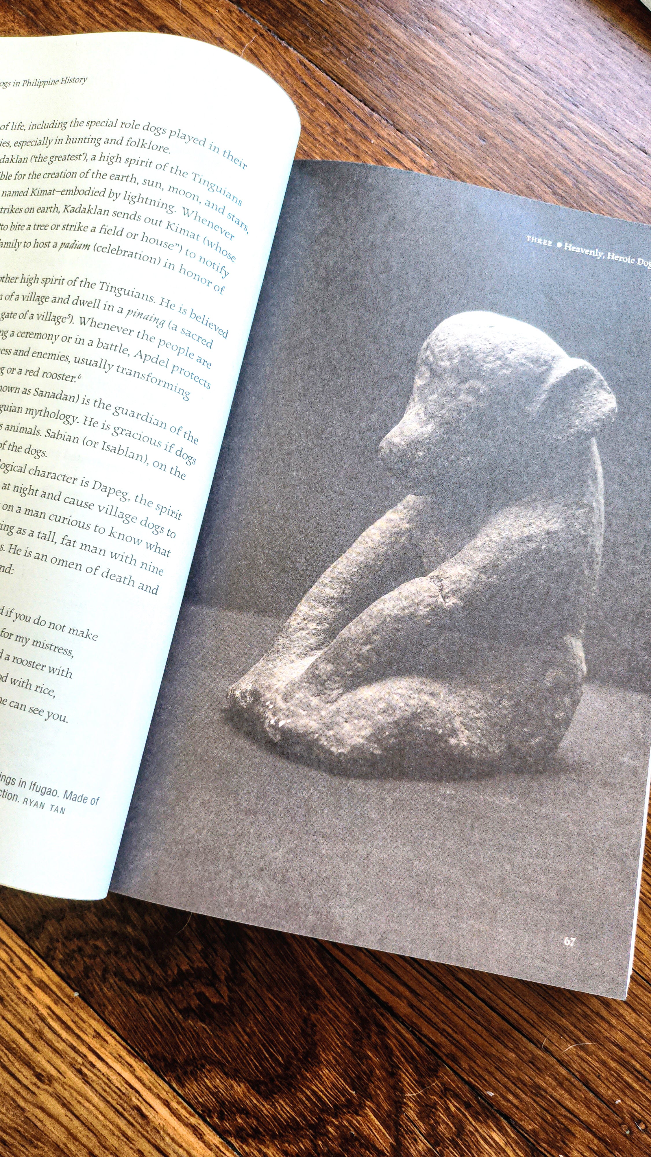 Dogs in Philippine History Book (PRE-ORDER)